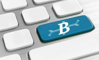 开云电竞中国-篮球专项技能教学创新及实战应用研究，篮球专项技术训练要点