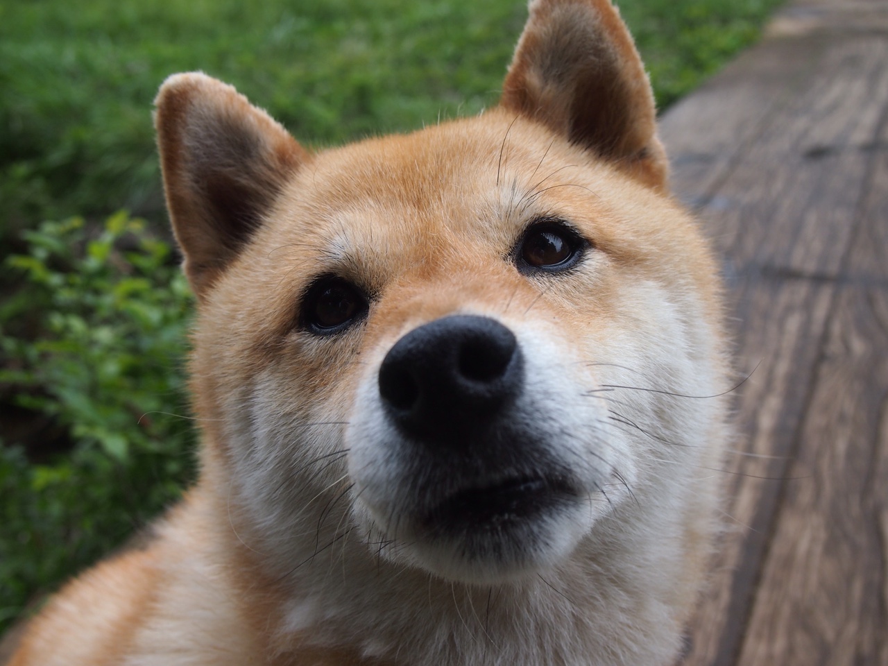 开云-中国男篮防守端表现亮眼 限制对手得分,中国男篮防守好的球员 开云-中国男篮防守端表现亮眼 限制对手得分,中国男篮防守好的球员