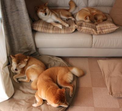 开云体育平台-罗马尼亚队团体赛制解析:如何在团体赛中获得最佳表现,罗马尼亚组合